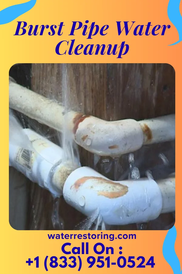 Burst Pipe Water Cleanup in Griffin, GA